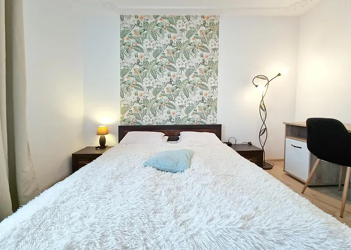 Classy - - Chylonska *